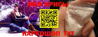 бошки Кингисепп