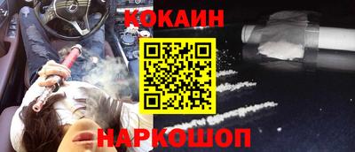 бошки Кингисепп
