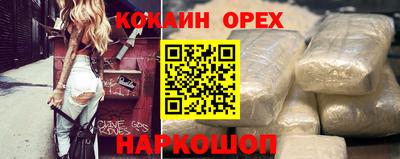 бошки Кингисепп