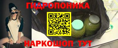 гидропоника Бийск