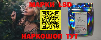 бошки Кингисепп