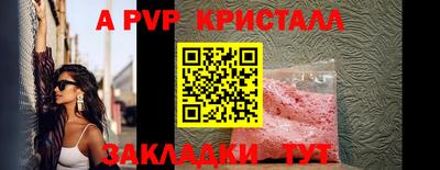 бошки Кингисепп