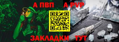 бошки Кингисепп
