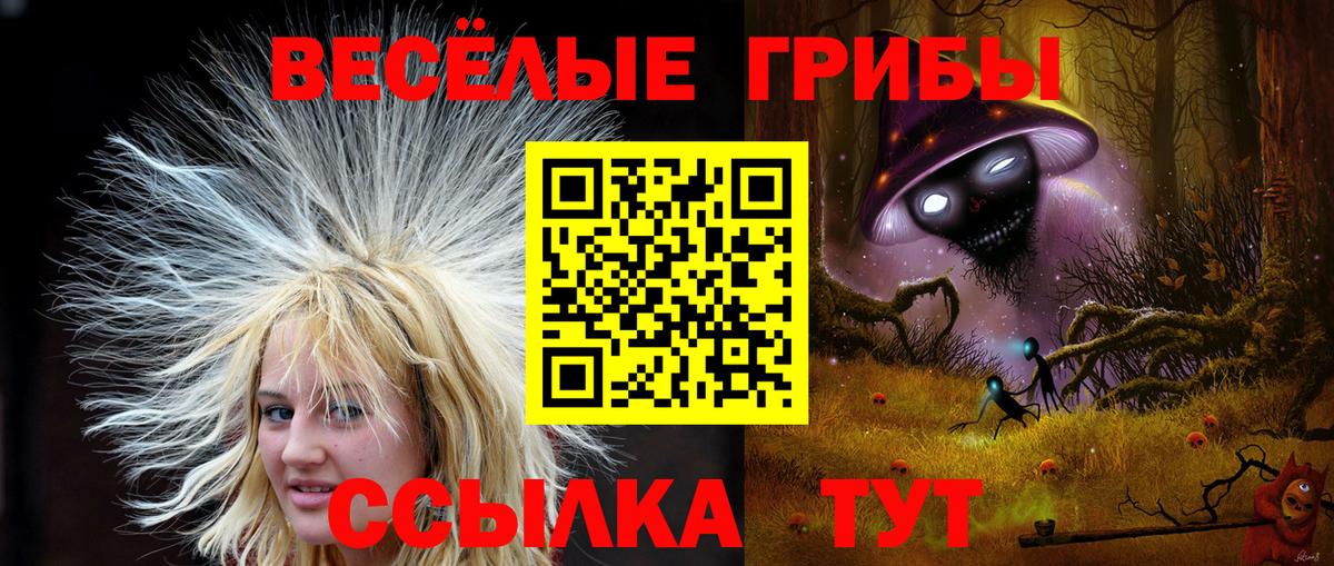 Псилоцибиновые грибы мицелий  Вход с VPN  Краснокамск  Галлюциногенные грибы Psilocybine cubensis 